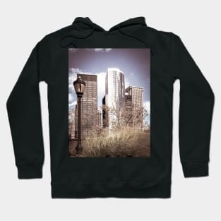 Skyscrapers, Battery Park, Manhattan, NYC Hoodie